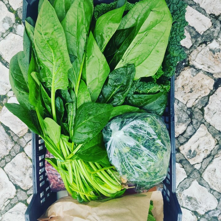 473339732_1000249535465790_922438696840351659_n.jp