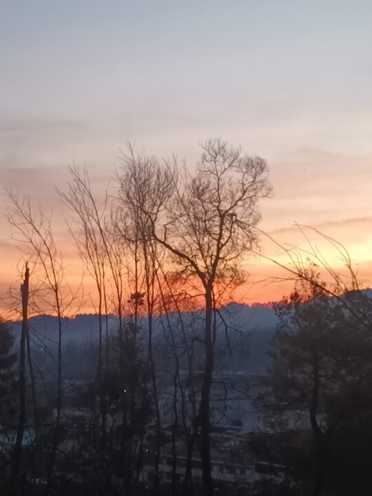 Não me canso disto_tarde.jpg