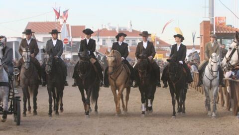 FeiraGolegã_São Martinho.jpg