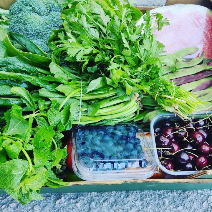 291895656_2350182245121523_6949574152338023227_n.j