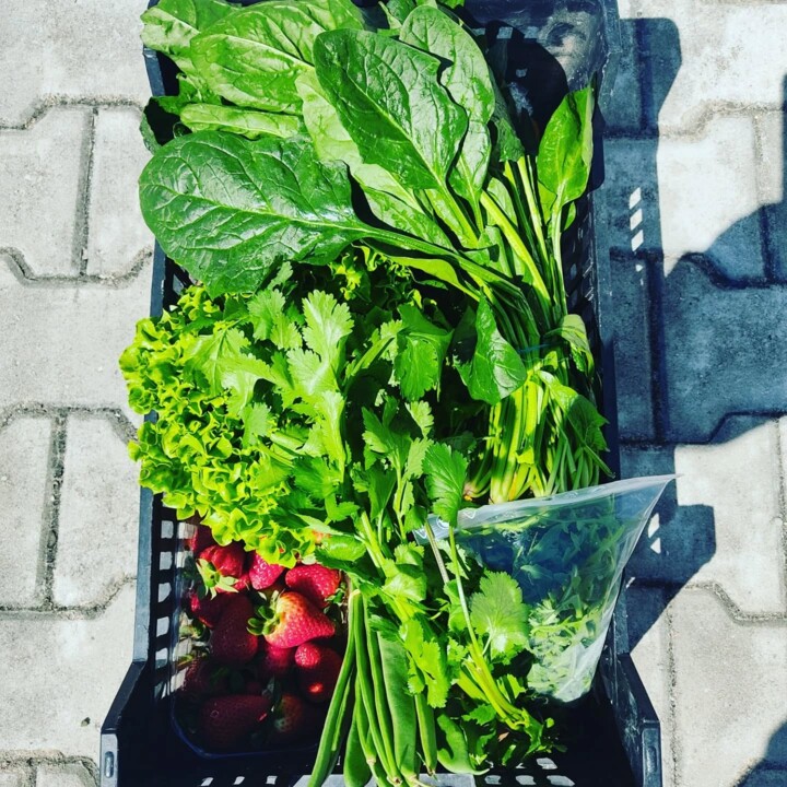 486601787_18469991095066958_7937922015599964969_n.