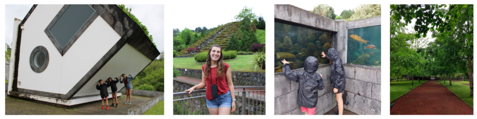 Post's Blog  (17).png