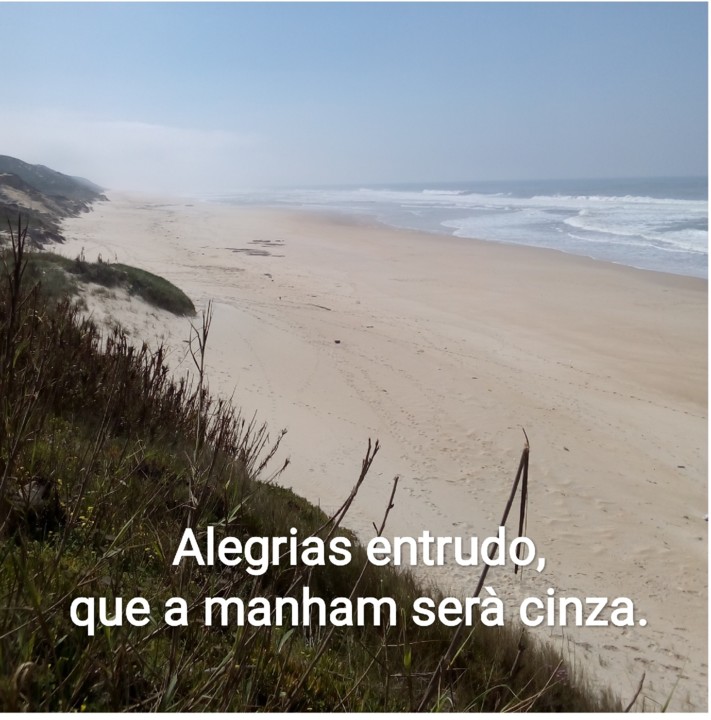 IMG_20190810_204055.jpg IMG_20190810_204055.jpg