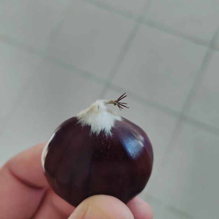 396527978_714762610681152_5863566538764159368_n.jp