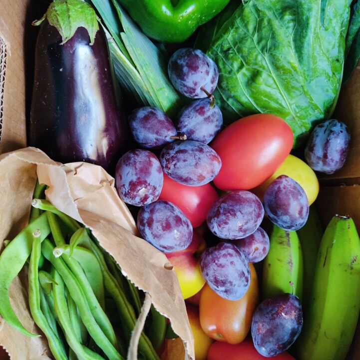 551072798_18500427106066958_2513628052292658348_n.