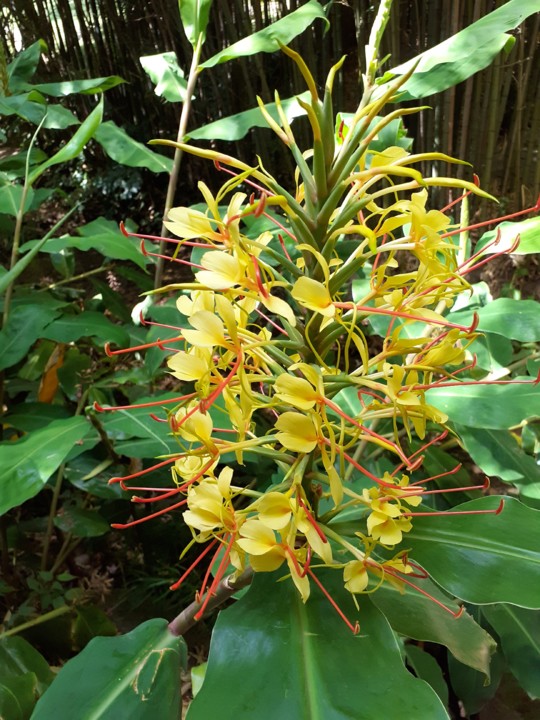 Roca da Velha. Foto original. 2021.08.01.jpg