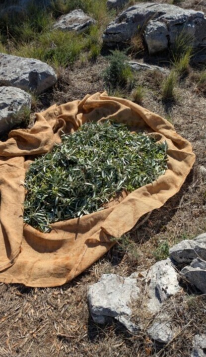 Screenshot_2025-10-14-14-27-52-809-edit_com.androi