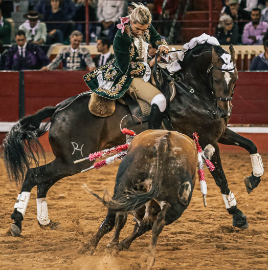 A.Batista-Foto Simáo Brites.png