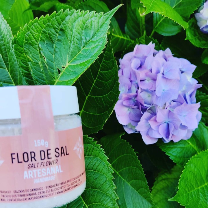 186496680_2030400187099732_8518178428545878339_n.j