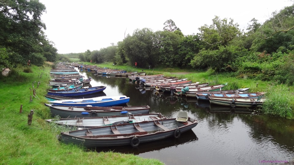 DSC07158.JPG DSC07158.JPG