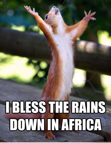 i bless the rains.jpg i bless the rains.jpg
