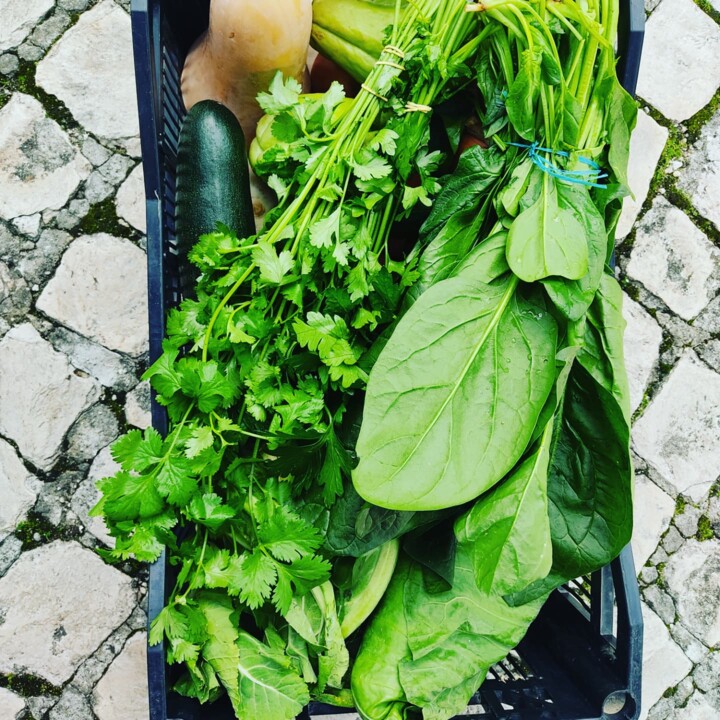 467305706_960022546155156_7535107023713325098_n.jp