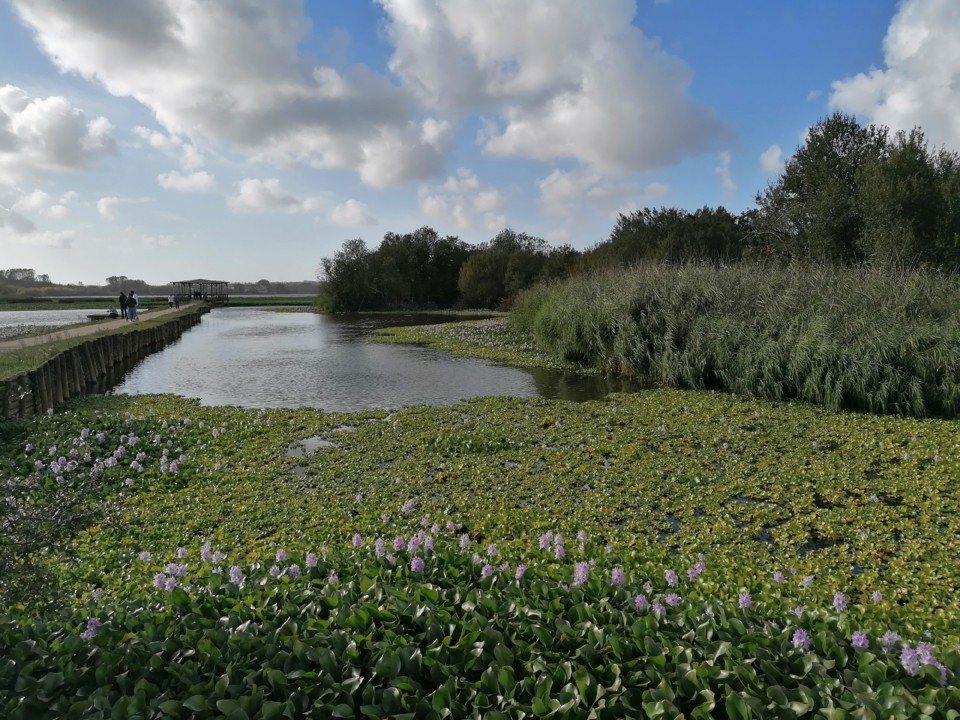 IMG_20201004_164452.jpg IMG_20201004_164452.jpg