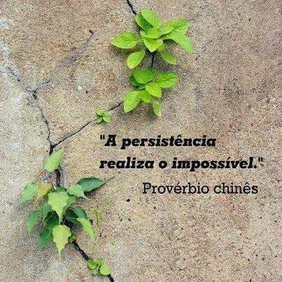 persistência2.jpg persistência2.jpg