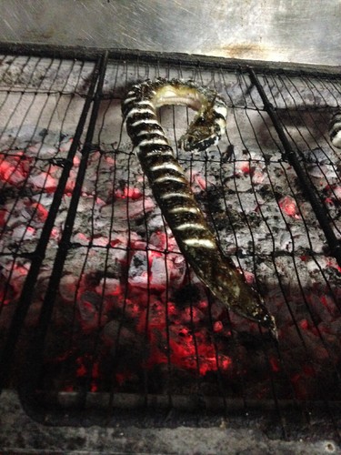 IMG_0181.JPG IMG_0181.JPG