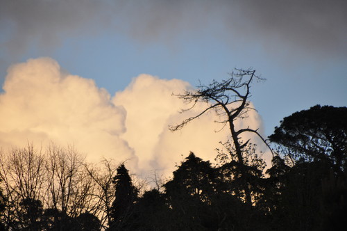 DSC_0019.JPG DSC_0019.JPG