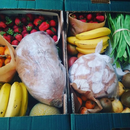 13221029_704411453031952_1327084347198929175_n.jpg 13221029_704411453031952_1327084347198929175_n.jpg