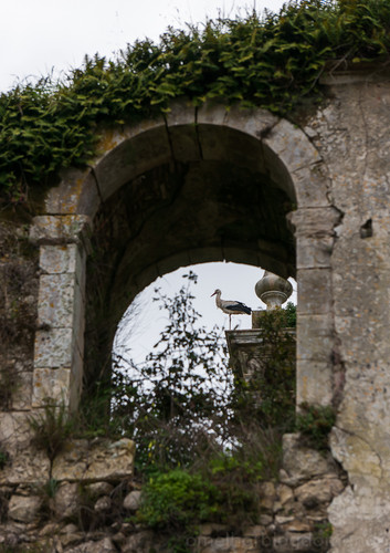 DSC01069.jpg DSC01069.jpg