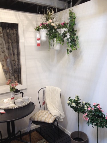 fotografia 5 (2).JPG