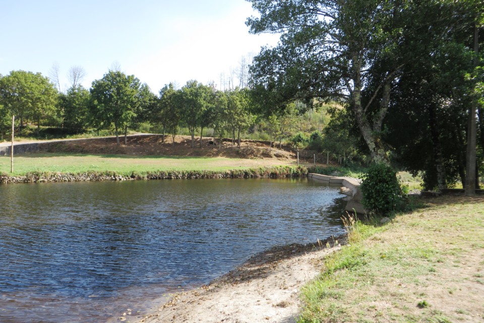 IMG_3418.JPG IMG_3418.JPG