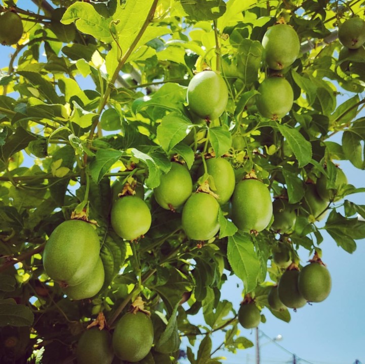 206541758_2054379424701808_1572684622438747067_n.j