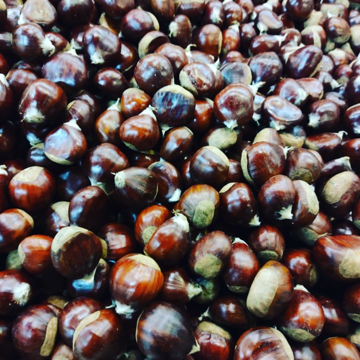 253911635_2159703300836086_3808371299108613902_n.j