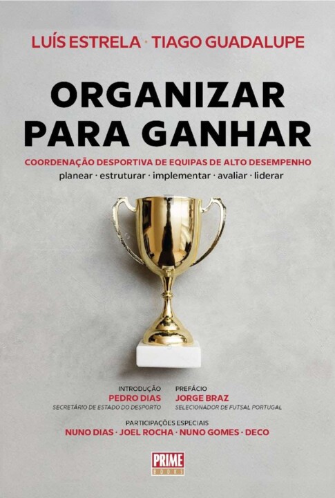 Organizar para ganhar.jpeg