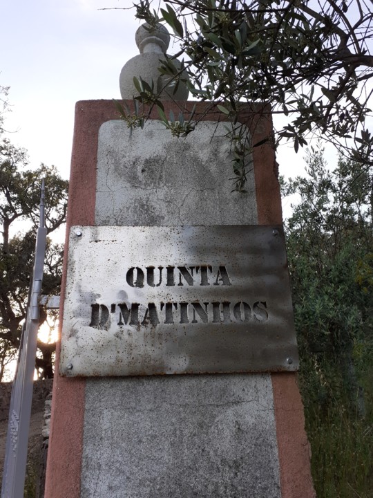 Quinta D'Matinhos. Foto original. 2021.05.12. jpg