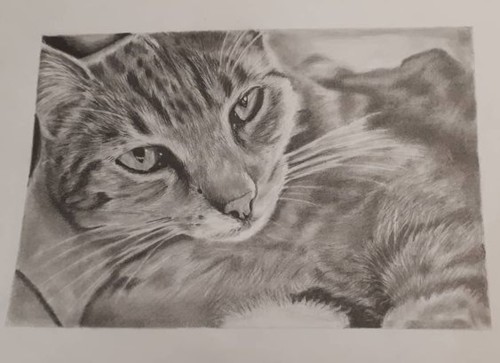 5cf3d0bf3089651afc726062dacbc367.jpg 5cf3d0bf3089651afc726062dacbc367.jpg