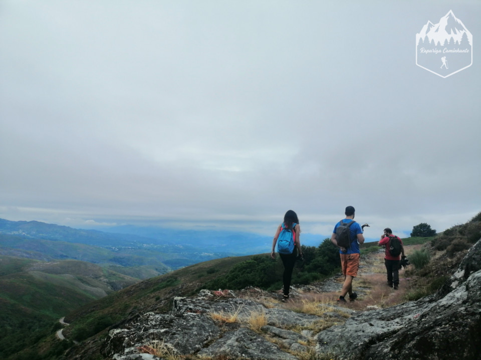 Photo_1597132219946.jpg Photo_1597132219946.jpg