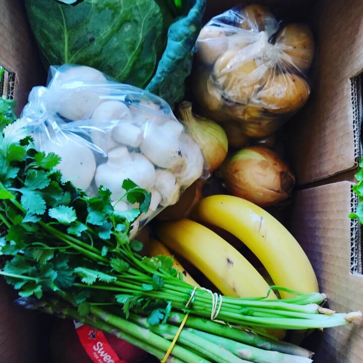 340085427_1210705539571933_1133422737916420027_n.j