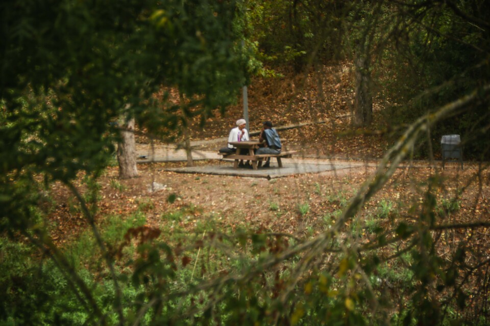 jardim rio da costa 7.jpg