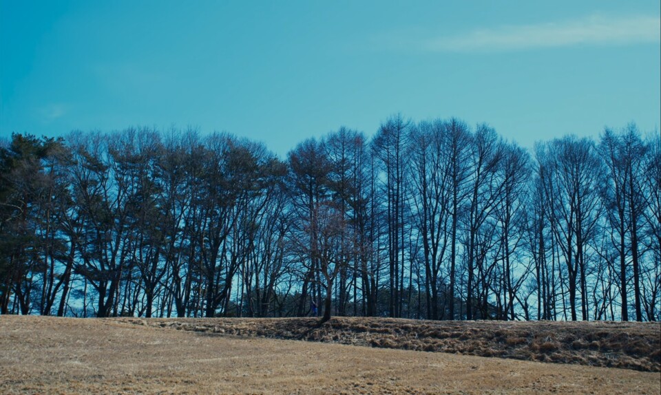 O mal nao esta aqui _ beleza 4.jpg