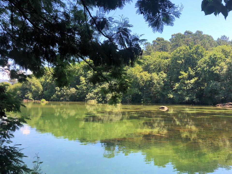 Amares_quinta Lago dos Cisnes.jpg