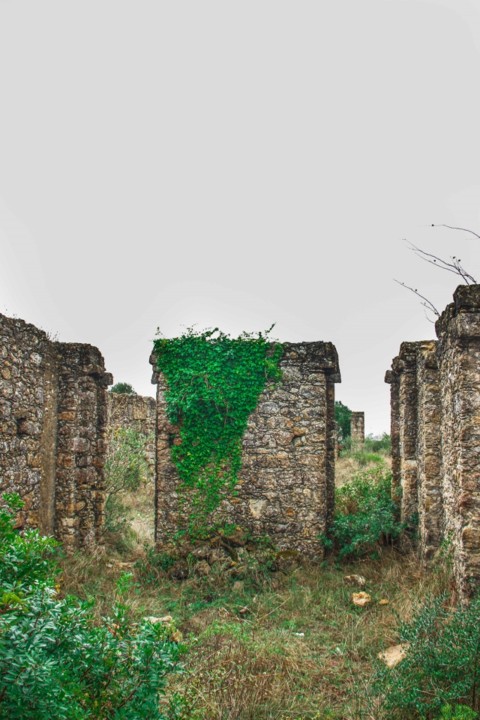 sanatorio albergaria 9.jpg