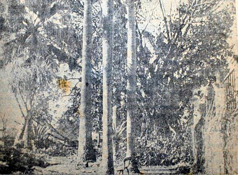 DC. Ciclone 5a.jpg