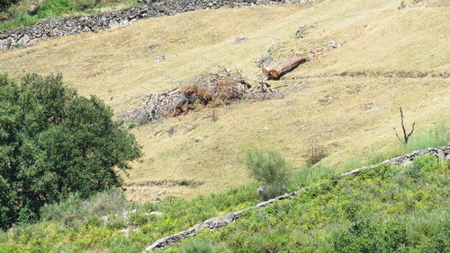 2017-08-06 11-45-19_1434.jpg