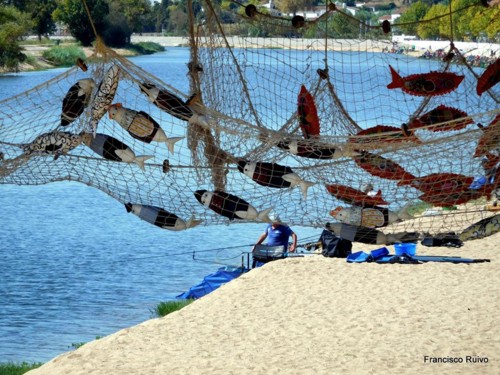 22154166_1867943456564140_8767112973424873057_n (1