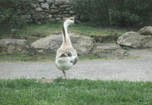 33144254_1652198838228748_2124096455856619520_n.jp 33144254_1652198838228748_2124096455856619520_n.jp