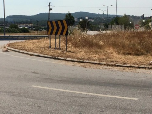 13935153_1010637809034652_535352937578632950_n1224