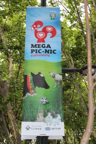 IMG_0727 Mega Pic-nic 2014