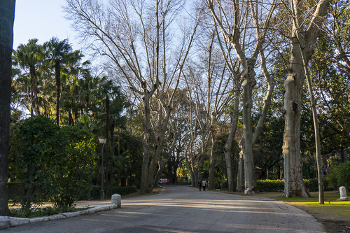 DSC02674.jpg DSC02674.jpg