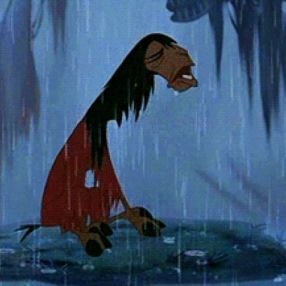 Kuzco-Crying-In-The-Rain-Reaction-Gif_408x408.jpg