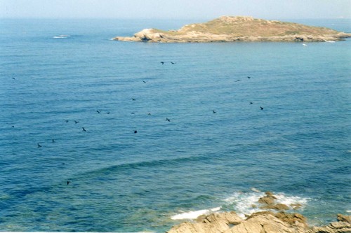 Ilha do Pessegueiro 2.jpg