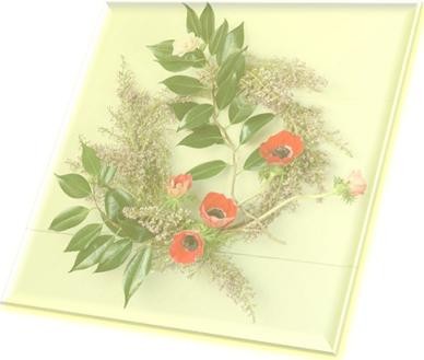 The Christmas truces3.JPG