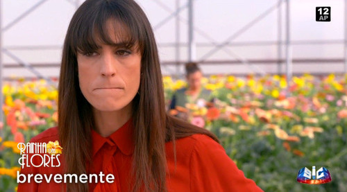 Rainha das Flores - brevemente