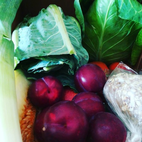 36297901_1127890684017358_3789040283337883648_n.jp