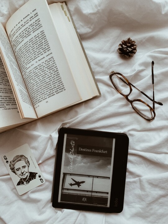 Passageiro para Frankfurt.JPG