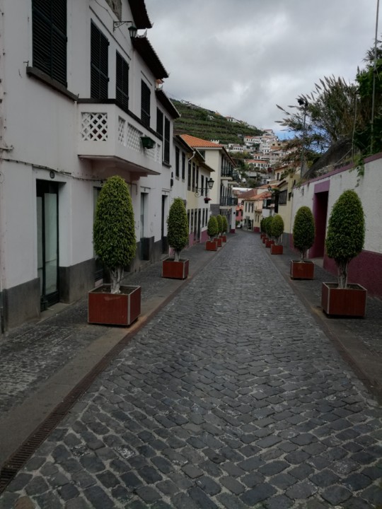 IMG_20190419_152640.jpg IMG_20190419_152640.jpg