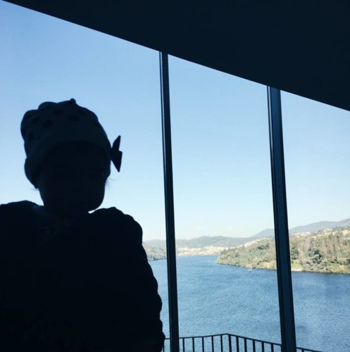 hotel douro 41 hotel douro 41